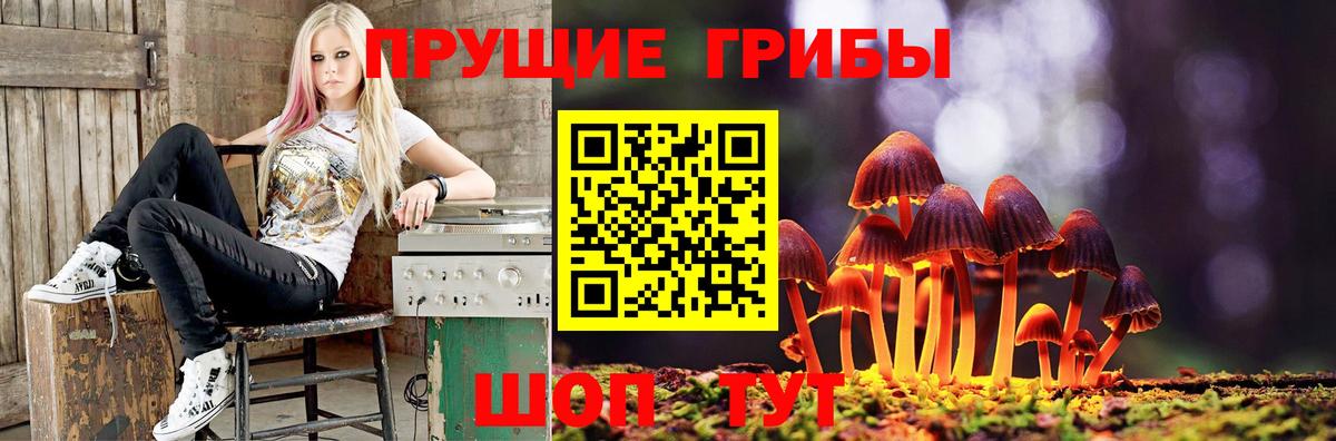 Псилоцибиновые грибы ЛСД Чита